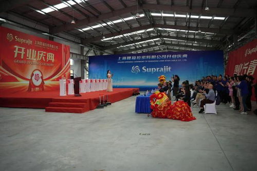 外商加大在奉賢投資力度，隆福拉索新工廠開業帶動區域經濟